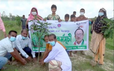 ফুলবাড়ীতে তাঁতী লীগের বৃক্ষরোপণ কর্মসূচী