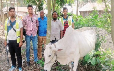 ঝিনাইদহে  আওয়ামী লীগ কর্মীকে কুপিয়ে হত্যার ঘটনায়, লুট হওয়া ছাগল গরু উদ্ধার