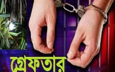 টেকনাফে মাদ্রাসা শিক্ষার্থী হত্যা: ১০ বছরের কিশোরসহ আটক-৪