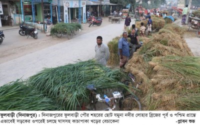 ফুলবাড়ীতে সড়ক দখল করে খড় বিক্রি দুর্ভোগে পথচারীসহ ব্যবসায়ীরা