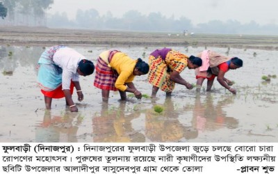 কৃষি কাজে সমতা থাকলেও মজুরি বৈষম্য শিকার নারীরা