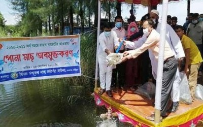 লক্ষীপুরের কমলনগরে মাছের পোনা বিতরণ