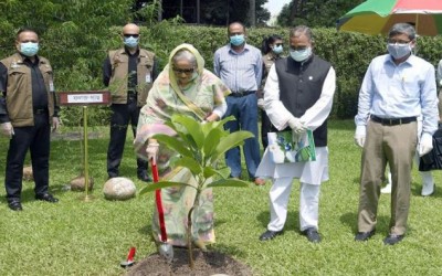 দেশে বনভূমির পরিমান ২৫ শতাংশ উন্নতি করবো : প্রধানমন্ত্রী