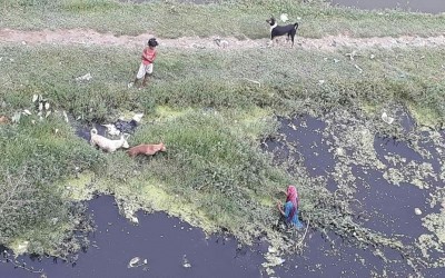 পচা ময়লা আবর্জনার মাঝে খুঁজে বেড়ায় জীবিকা নির্বাহের রাস্তা