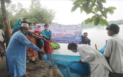 ডিমলায় মৎস্য সপ্তাহ উপলক্ষে পোনা মাছ অবমুক্ত করোন