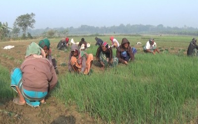 ঝিনাইদহে এখনো চলে ‘গাতায়” কাজ চলে