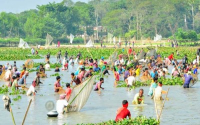 বার্ষিক ‘পলো বাওয়া’ উৎসব ঘরে ঘরে আনন্দ